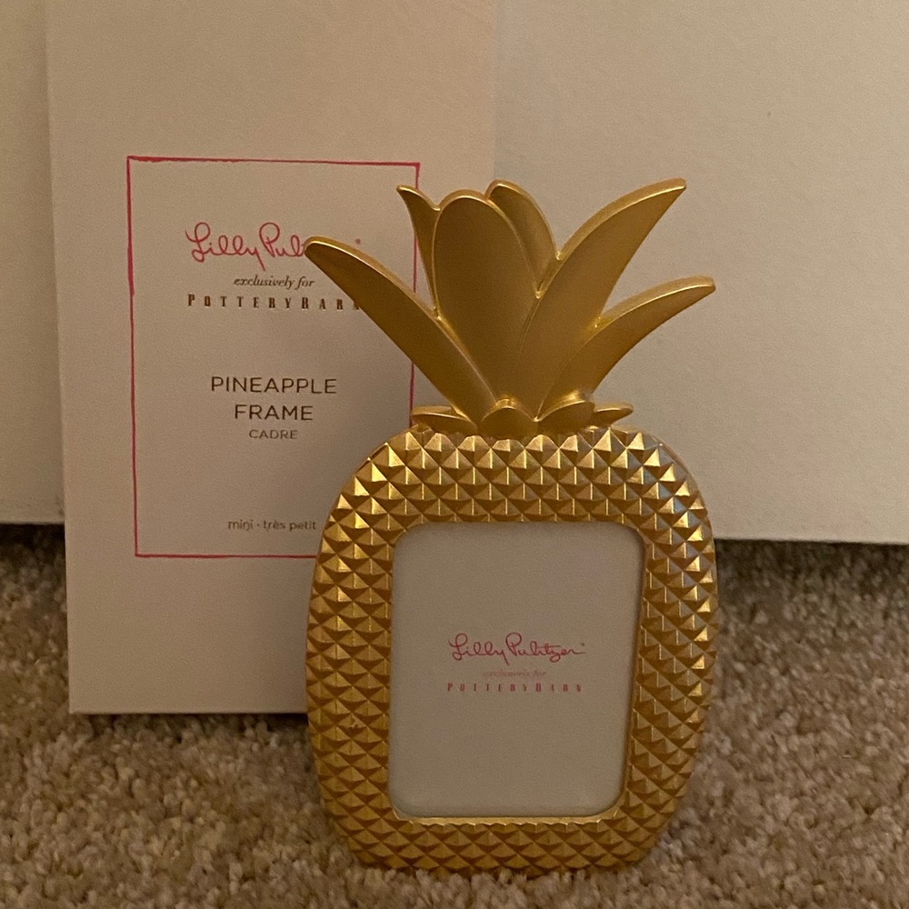 Lilly Pulitzer Pineapple Frame